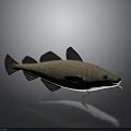 3D Modeled Fish With Light Brown Body White Underbelly Fins Eyes Whiskers Gray Background Reflection
