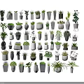Bonsai Potted Plants With Various Ceramic Concrete And Wooden Planters For Home Decor