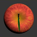 Fresh Red and Yellow Striped Apple with Green Leaf and Brown Stem on Dark Background
