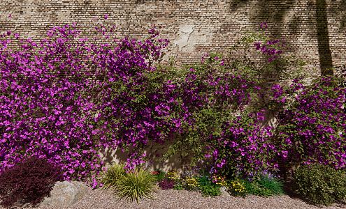 Modern Bougainvillea Vines 3d model