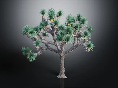 Joshua Tree With Green Spiky Leaves And Branched Rough Trunk Isolated On Dark Background 3d model
