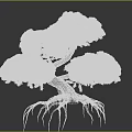 Arbor With Lush Green Foliage Curved Trunk and Exposed Roots on Brown Ground Surface