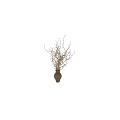 Two Stylish Brown Vases With Twisted Flower Branches For Home Decor