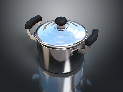 Stainless Steel Cooking Pot With Black Handles And Fitted Lid For Kitchen Use 3d model