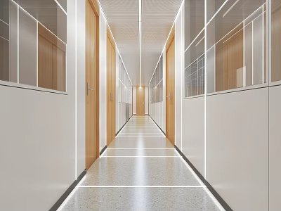 Modern Office Corridor With Wooden Doors Glass Partitions White Walls And Smooth Floor 3d model