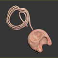 Pink Computer Desk Accessory With Soft Texture And Coiled Cord For Comfortable Setup