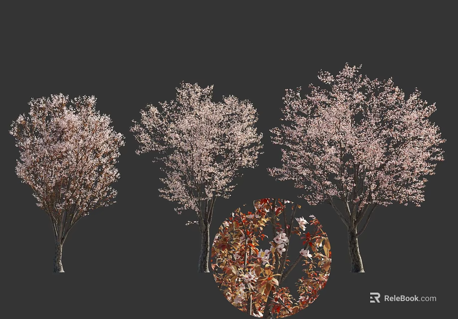 Three Cherry Blossom Trees With Pink Flowers And Detailed Bloom Close Up 3d model 
