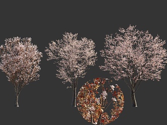 Peach Blossom Tree Sakura Tree Chinese Style National Style Flower Tree Landscape Street Tree Garden Green Planting Plum Blossom Tree Begonia Flower Tree 3d model