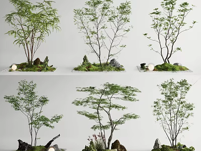 Natural Plant Combinations With Small Trees Green Foliage Stones Moss And Landscape Decor 3d model