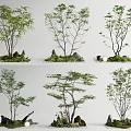 Natural Plant Combinations With Small Trees Green Foliage Stones Moss And Landscape Decor
