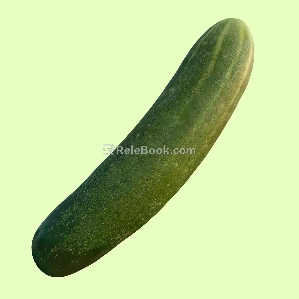 Cucumber Vegetables 3d model