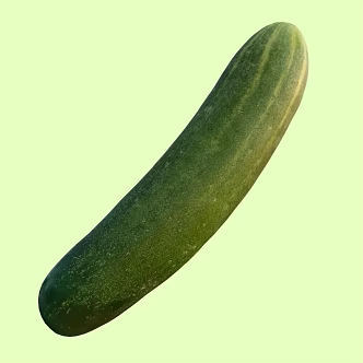 Cucumber Vegetables 3d model