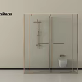 Poliform Modern Shower Head in Gold Frame Shower Enclosure with White Toilet