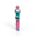 Colorful Pet Collar With Green Strap Pink Blue Pattern And Metal Buckle