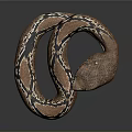 Brown and black patterned snake coiled on dark background with shiny skin and reflection 3d model