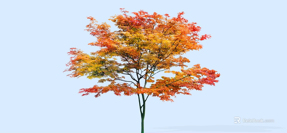 Autumn Arbor with Vibrant Red Orange Yellow Leaves Against Clear Blue Sky 3d model 