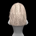 Modern Hairstyle 3d model