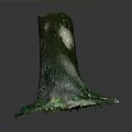 Tree Trunk Base With Green Moss And Surrounding Plants In Natural Setting 3d model