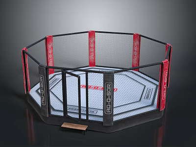 Octagon MMA Fighting Cage With Black Red Fence And White Training Mat 3d model