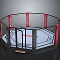 Octagon MMA Fighting Cage With Black Red Fence And White Training Mat
