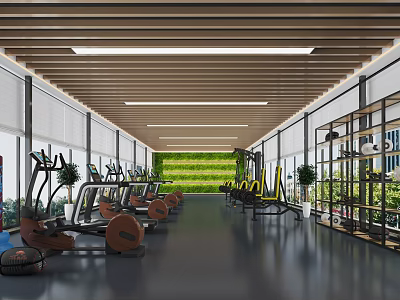 Spacious Modern Fitness Gym With Workout Equipment Wooden Ceiling Large Windows And Green Plant Wall 3d model
