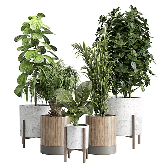 modern potted plant potted plant 3d model