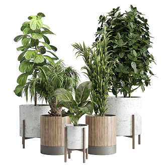 modern potted plant potted plant 3d model