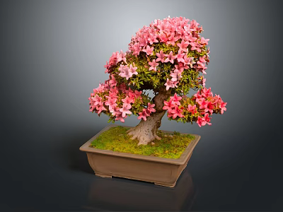 Pink Flowering Bonsai Tree With Sculpted Trunk In Square Mossy Pot 3d model