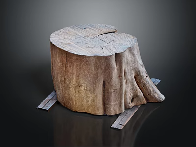 Natural Rustic Wooden Stump Decorative Piece With Authentic Wood Grain For Home Interior 3d model