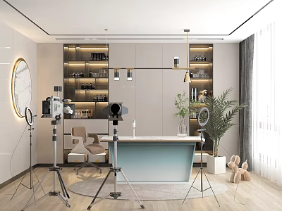 Modern Public Office Space With Shelves Lighting Desk And Green Plant Interior 3d model