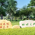 Natural Stone with Carved Inscriptions in Lush Grass and Wooded Natural Surroundings
