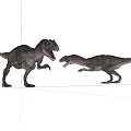 Two Realistic Dinosaur Models Facing Each Other On White Background 3d model