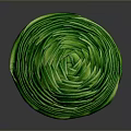 Fresh Green Spiral Vegetable Roll With Tightly Wrapped Leaves