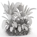 Lush Tropical Plants With Large Green Leaves And Fresh Foliage Arrangement