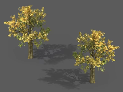 Two Arbor Trees With Golden Green Leaves And Brown Trunks Casting Shadows 3d model