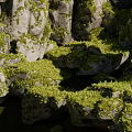 Natural Rockery Stones Covered With Lush Green Moss In Garden Landscape