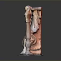 Columns Stone Columns Stone Columns Old Columns Roman Columns Roman Columns Classical Columns Greek Columns 3d model
