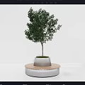 Modern Round Outdoor Chair with Wooden Accent Silver Base White Planter and Small Tree