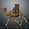Camel Carrying Stacked Luggage Packs On Its Back While Walking