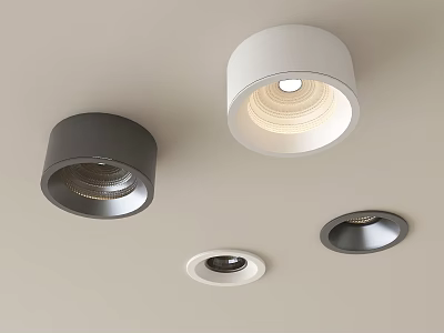 Modern Ceiling Mounted Downlights And Spotlights In White And Gray Styles 3d model