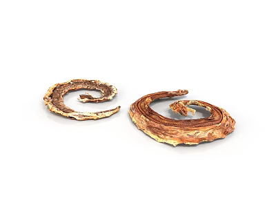 Two Brown Coiled Snakes Showing Curled Body Forms Against White Backdrop 3d model