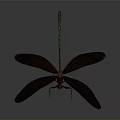 Detailed Dragonfly With Brown Wings And Green Slender Body On Gray Background