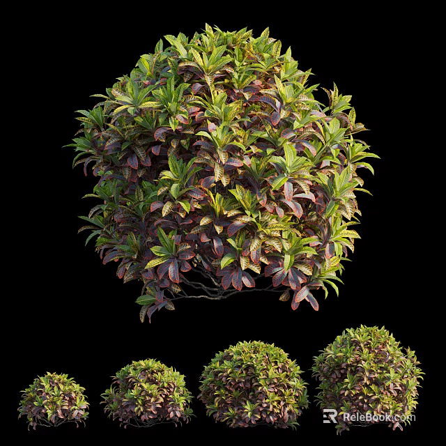 Round Shaped Shrubs With Green And Purple Leaves In Various Sizes On Black Background 3d model 