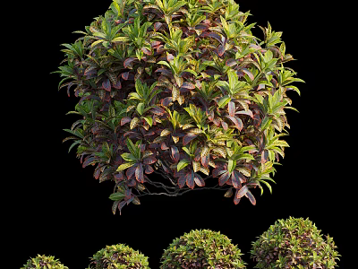 Round Shaped Shrubs With Green And Purple Leaves In Various Sizes On Black Background 3d model