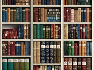 Colorful Books Of Different Sizes On Wooden Bookshelf With Vintage Covers And Arranged Neatly 3d model