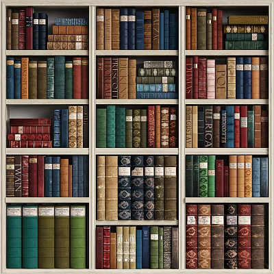 Colorful Books Of Different Sizes On Wooden Bookshelf With Vintage Covers And Arranged Neatly 3d model