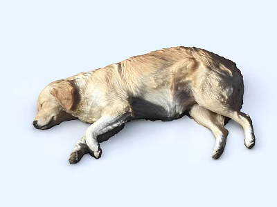 Sleeping Brown And Black Dog Lying With Relaxed Posture And Soft Fur 3d model