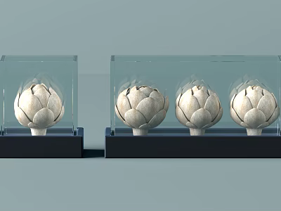 Elegant Artichoke Shaped Decorative Ornament Set In Transparent Display Cases With Black Bases 3d model
