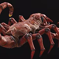 Realistic Scorpion Modern Realistic Animal Reptile Scorpion game 3d model