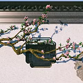 Traditional Chinese Garden Rockery Stone With Peach Blossom Branch White Wall And Moss
